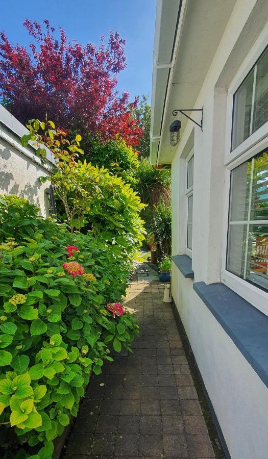 124 ,Castlelawn Heights, Headford Road Galway Homestay المظهر الخارجي الصورة