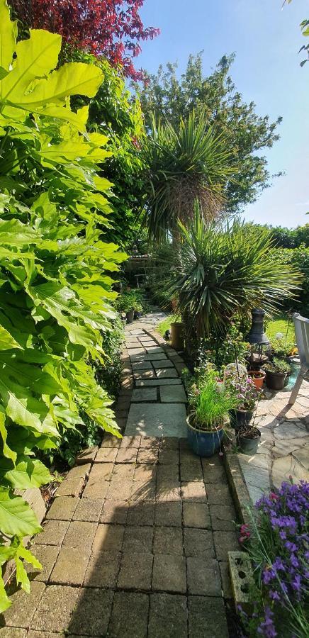 124 ,Castlelawn Heights, Headford Road Galway Homestay المظهر الخارجي الصورة